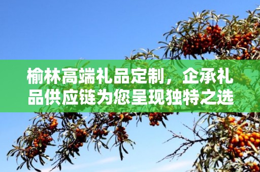 榆林高端礼品定制，企承礼品供应链为您呈现独特之选