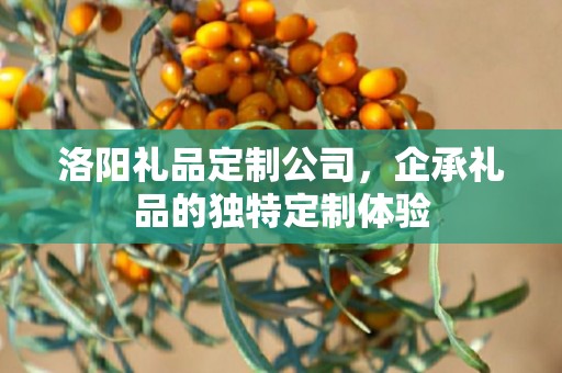 洛阳礼品定制公司，企承礼品的独特定制体验