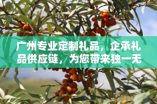 广州专业定制礼品，企承礼品供应链，为您带来独一无二的礼品定制体验