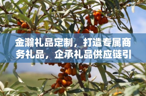 金瀚礼品定制，打造专属商务礼品，企承礼品供应链引领行业新风尚